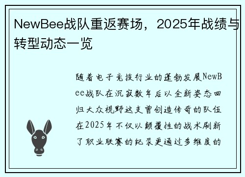 NewBee战队重返赛场，2025年战绩与转型动态一览